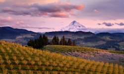 Hood River Valley Orchard Hood River Valley Orchard