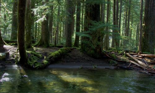 Oregon Mount Hood National Forest
