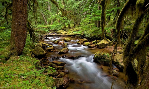 Lost Creek Trail