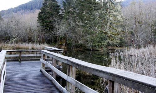 Wildwood Oregon