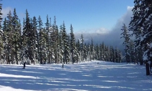 Mount Hood Meadows