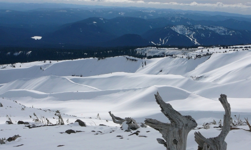 Mt Hood Meadows