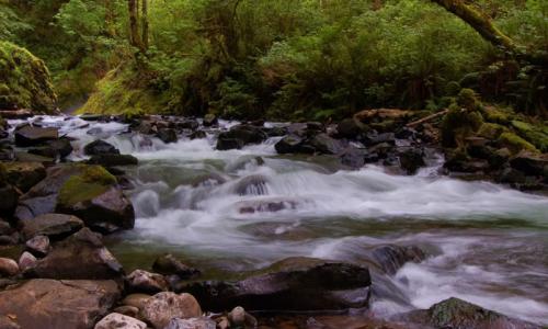 Bridal Veil Creek Oregon
