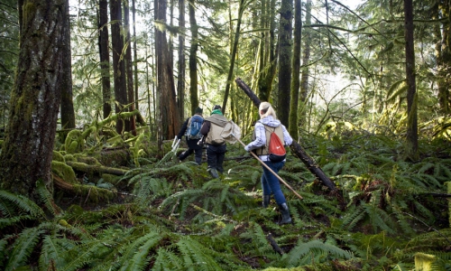 Wildwood Recreation Site at Welches Oregon