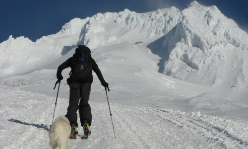 Mount Hood Backcountry Skiing