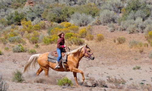 Mount Hood Oregon Horseback Riding