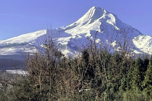 Old Parkdale Inn | Perfect for Mt Hood Skiers