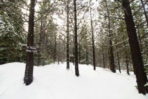 Historic Cooper Spur & Nordic Trails