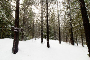 Cooper Spur: Your Favorite New Base Camp