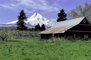 Old Parkdale Inn - overlooking Mt. Hood