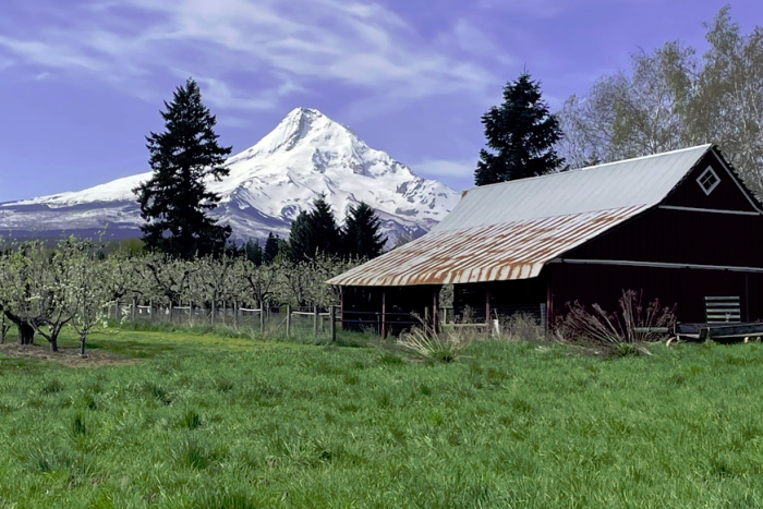 Old Parkdale Inn — Mt Hood Parkdale, OR