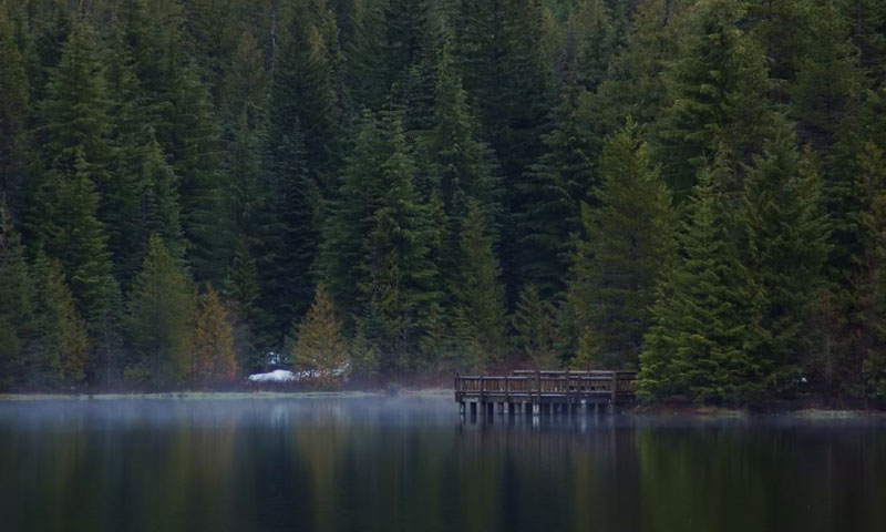 Mist over Trillium Lake