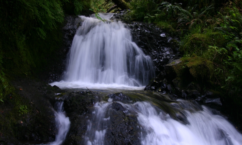Shepperds Dell State Park Waterfall