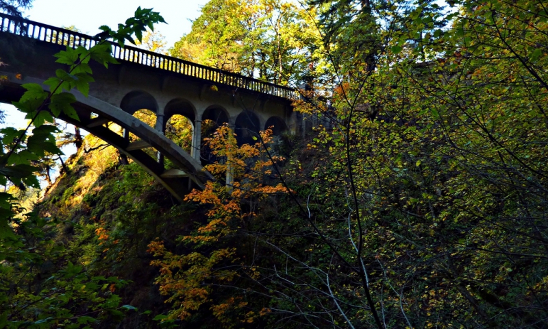 Shepperds Dell State Park Oregon