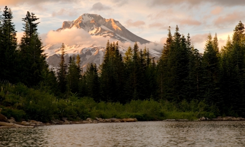 Looking toward Mount Hood from Mirror Lake