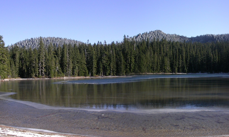 Indian Heaven Wilderness