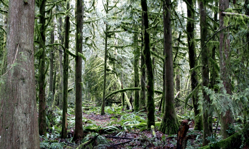 Wildwood Recreation Area