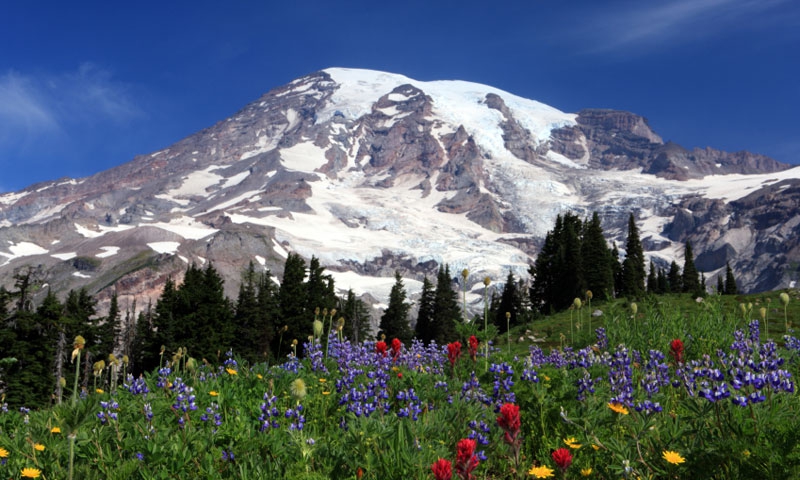 Mount Rainier National Park