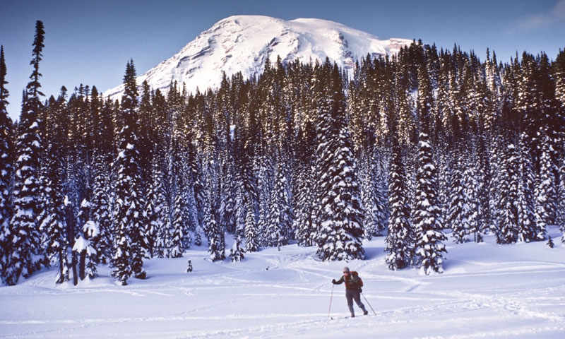 Cross Country Skiing near Mount Rainier