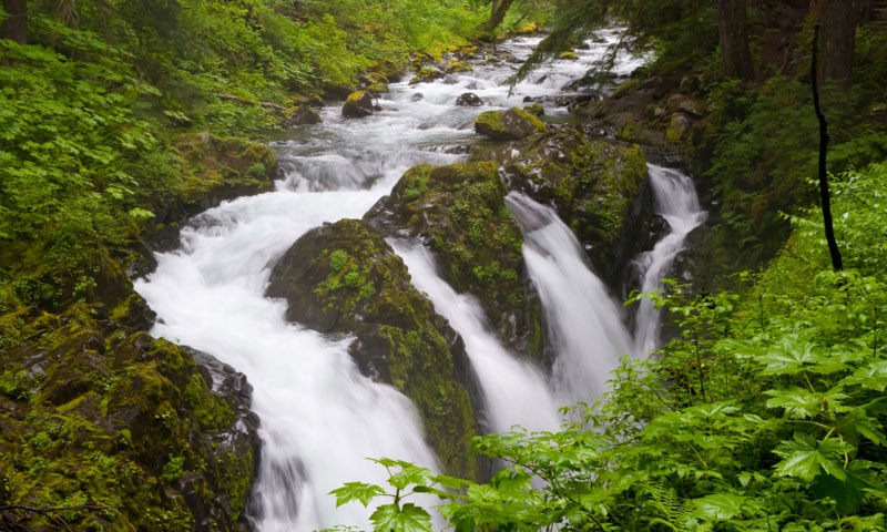 Sol Duc Falls in Olympic National Park