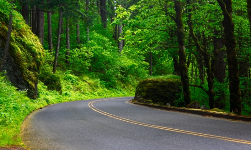 Historic Columbia River Gorge Highway in Spring