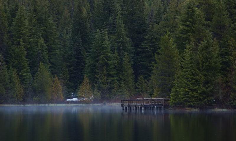 Mist over Trillium Lake