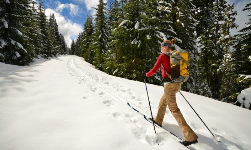 Cross Country Skiing to Trillium Lake in the Mount Hood National Forest
