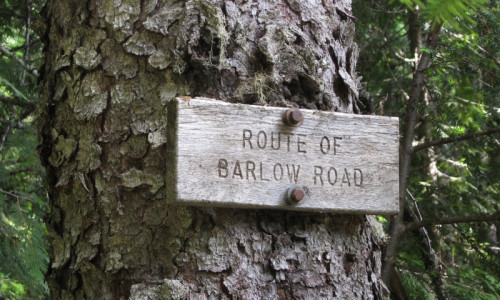 Historic Barlow Road