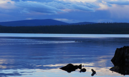 Timothy Lake