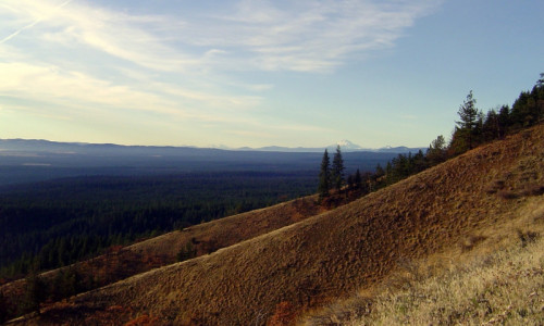 Badger Creek Wilderness