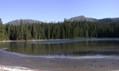 Indian Heaven Wilderness