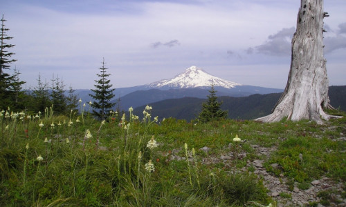 Salmon-Huckleberry Wilderness