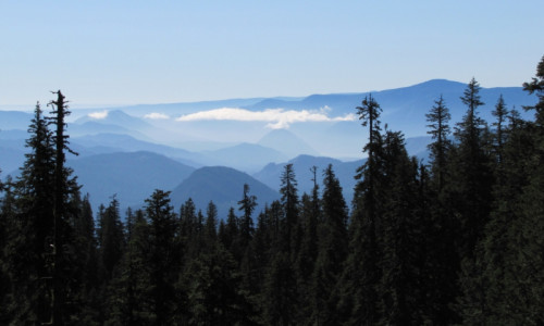 Trapper Creek Wilderness
