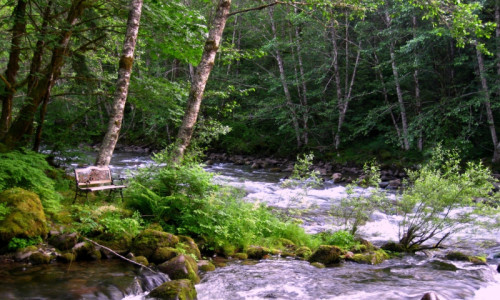 Welches Oregon