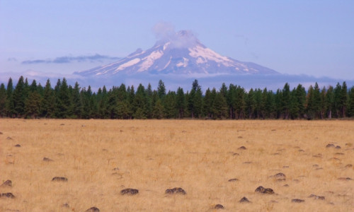 Warm Springs Highway