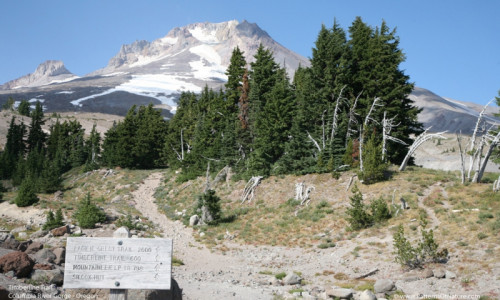 Timberline Trail